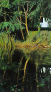 La casa del vicino del lago